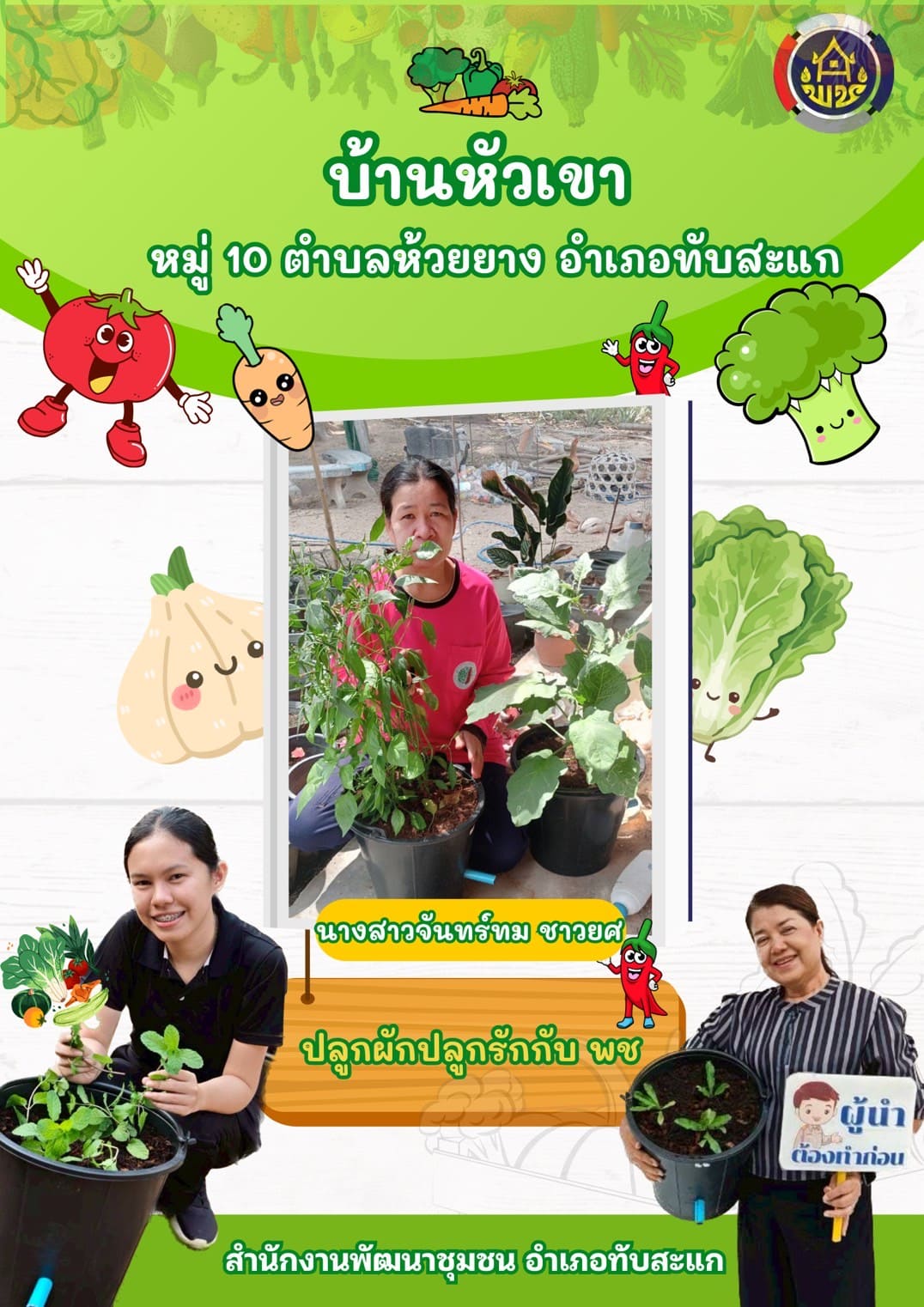 พช.ทับสะแก ชวนปลูกผักสวนครัวสรา้งความมั่นคงทางอาหาร กิจกรรม "ครัวเรือนทำตาม"