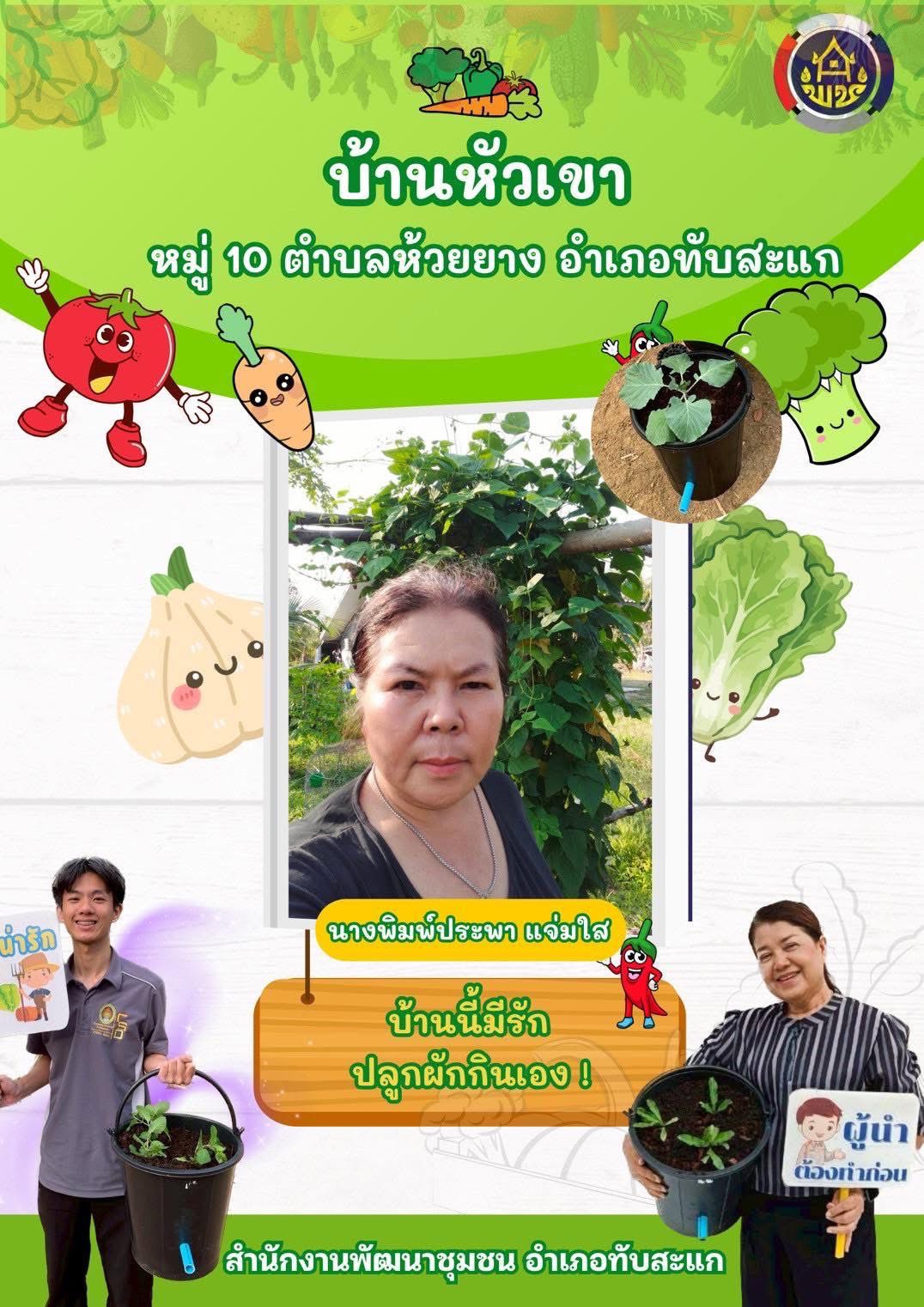 พช.ทับสะแก ขอเชิญชวนมาปลูกผักสวนครัวสร้างความมั่นคงทางอาหาร