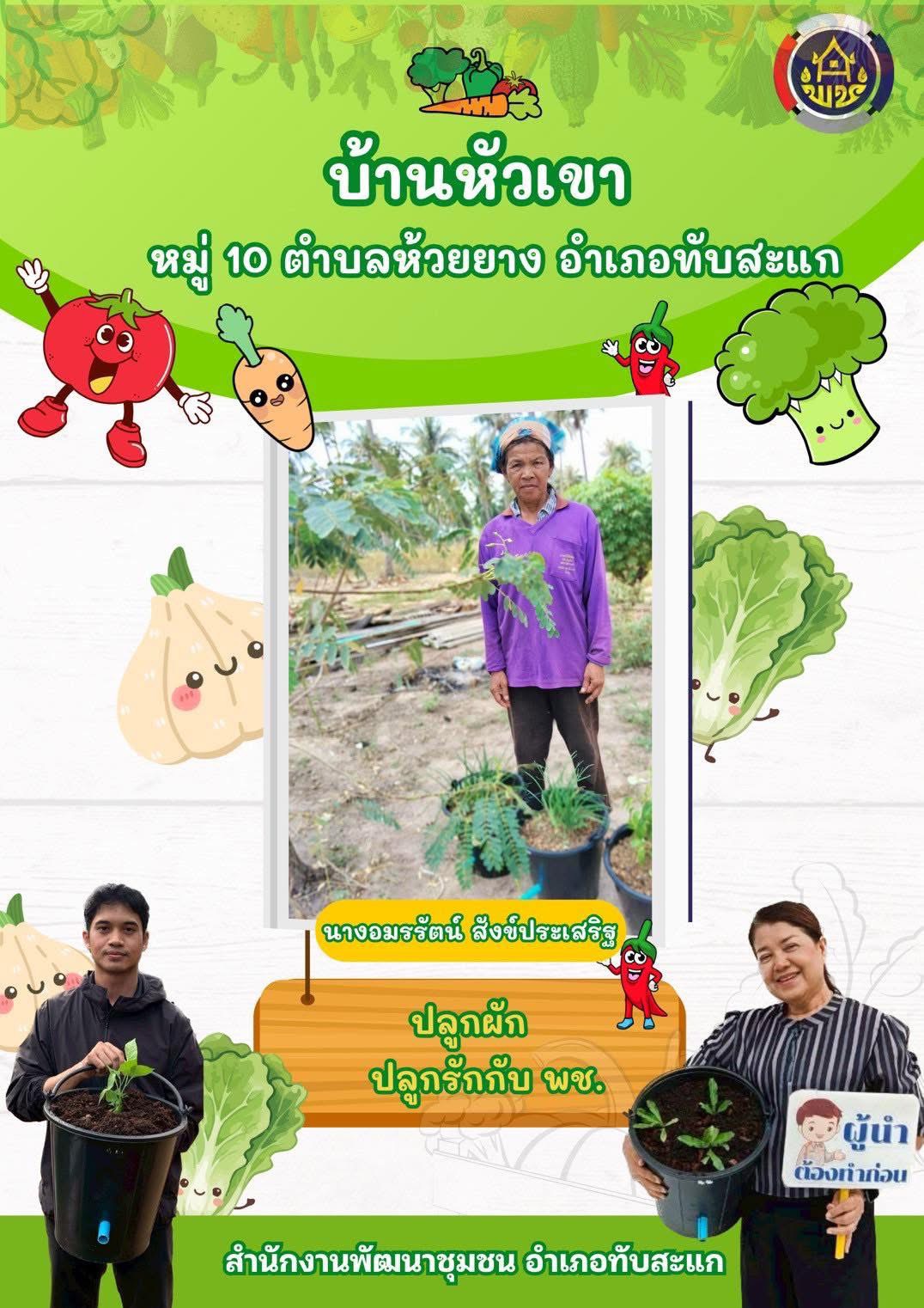 พช.ทับสะแก ขอเชิญชวนมาปลูกผักสวนครัวสร้างความมั่นคงทางอาหาร