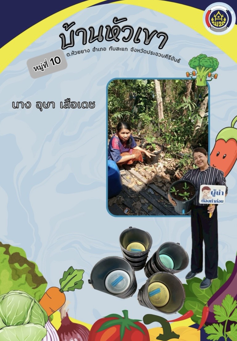  พช.ทับสะแก ขอเชิญชวนมาปลูกผักสวนครัวสร้างความมั่นคงทางอาหาร